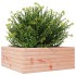 Jardinera de madera maciza de abeto Douglas 60x60x23