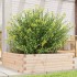Jardinera de madera maciza de pino 80x80x23