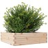 Jardinera de madera maciza de pino 80x80x23