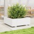 Jardinera de madera maciza de pino blanco 70x70x26,5
