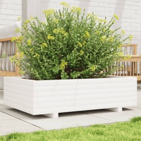 Jardinera de madera maciza de pino blanco 90x40x26,5