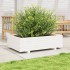 Jardinera de madera maciza de pino blanco 90x40x26,5