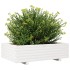 Jardinera de madera maciza de pino blanco 90x40x26,5