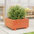 Jardinera madera maciza de pino marrón cera 50x50x26,5