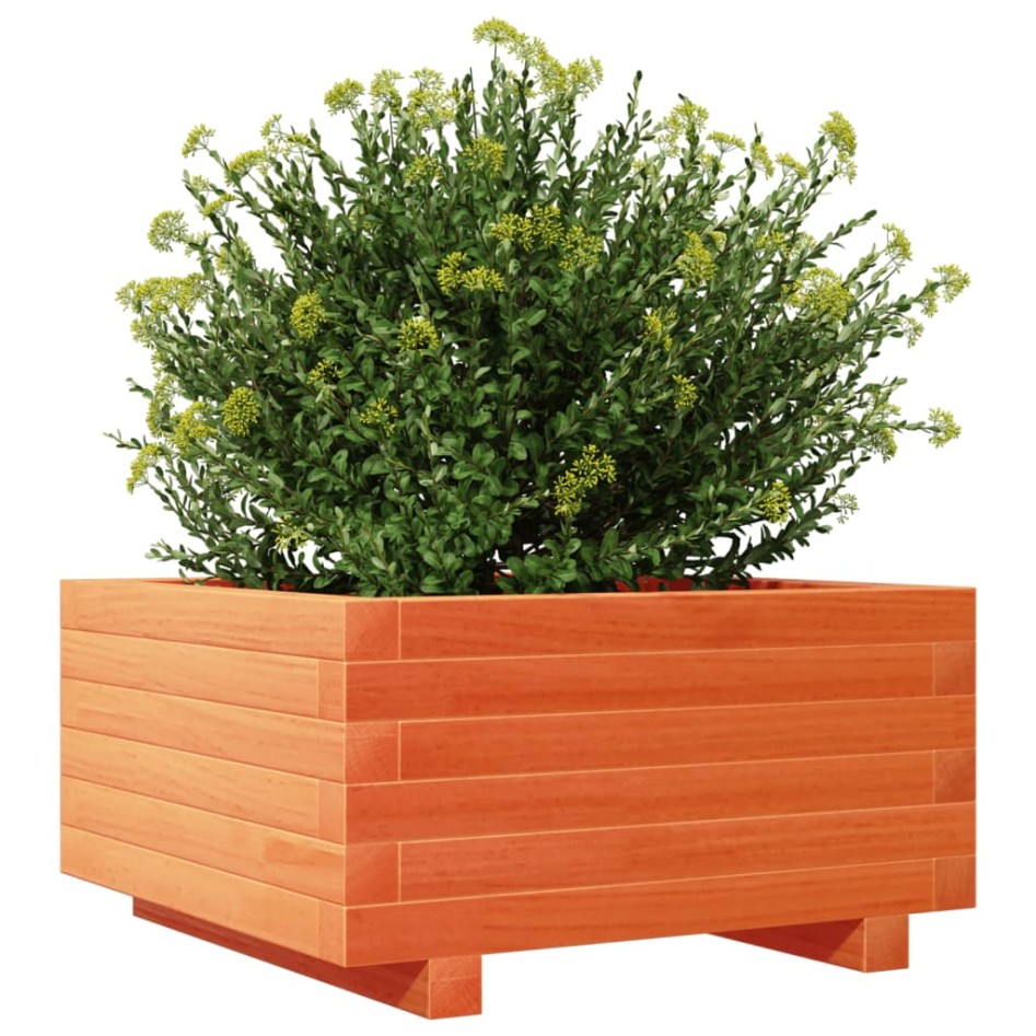 Jardinera madera maciza de pino marrón cera 50x50x26,5