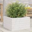 Jardinera de madera maciza de pino blanca 40x40x23 cm