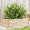 Jardinera de madera maciza de pino 70x70x23 cm