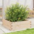 Jardinera de madera maciza de pino 70x70x23