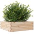 Jardinera de madera maciza de pino 70x70x23
