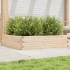 Jardinera de madera maciza de pino 100x100x23