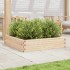 Jardinera de madera maciza de pino 100x100x23