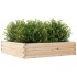 Jardinera de madera maciza de pino 100x100x23