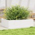 Jardinera de madera maciza de pino blanco 90x60x23