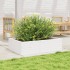 Jardinera de madera maciza de pino blanco 90x60x23
