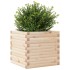 Jardinera de madera maciza de pino 50x50x45,5