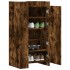 Mueble zapatero madera ingeniería roble ahumado 52x37,5x100