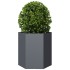 Jardineras hexagonales 2 uds acero antracita 46x40x45