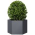 Jardinera hexagonal acero gris antracita 69x60x45