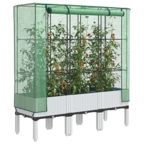 Arriate con cubierta invernadero aspecto ratán 120x40x140