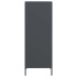 Aparador acero gris antracita 35x39x103,5