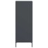 Aparador de acero gris antracita 39x35x103,5