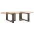 Patas de mesa centro forma T 2uds acero natural