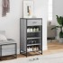 Mueble zapatero madera contrachapada gris sonoma 48x38x97,5