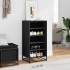 Mueble zapatero de madera de ingeniería negro 48x38x97,5