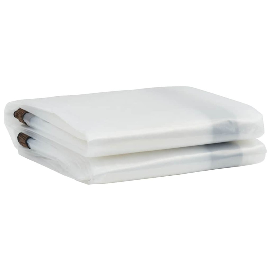 Lona transparente con ojales polietileno 3x12