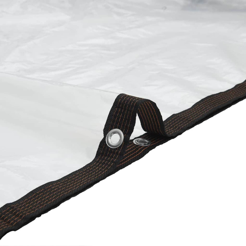 Lona transparente con ojales polietileno 3x12