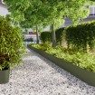 Bordes césped 10 uds acero laminado frío verde oliva 25x103 cm