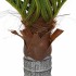 Palmera artificial con 6 hojas verde 100