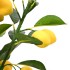 Limonero artificial 136 hojas 120 cm