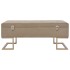 Banco con compartimento 105 cm beige de