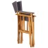 Silla de director madera maciza de