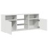 Mueble para TV con luces LED blanco 120x30x50