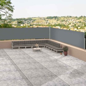 Toldo lateral retráctil antracita 117x1200