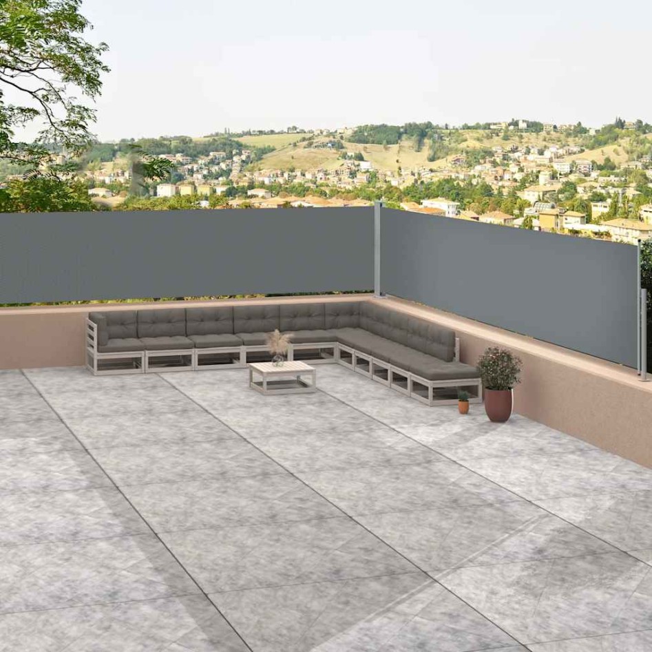 Toldo lateral retráctil antracita 117x1200