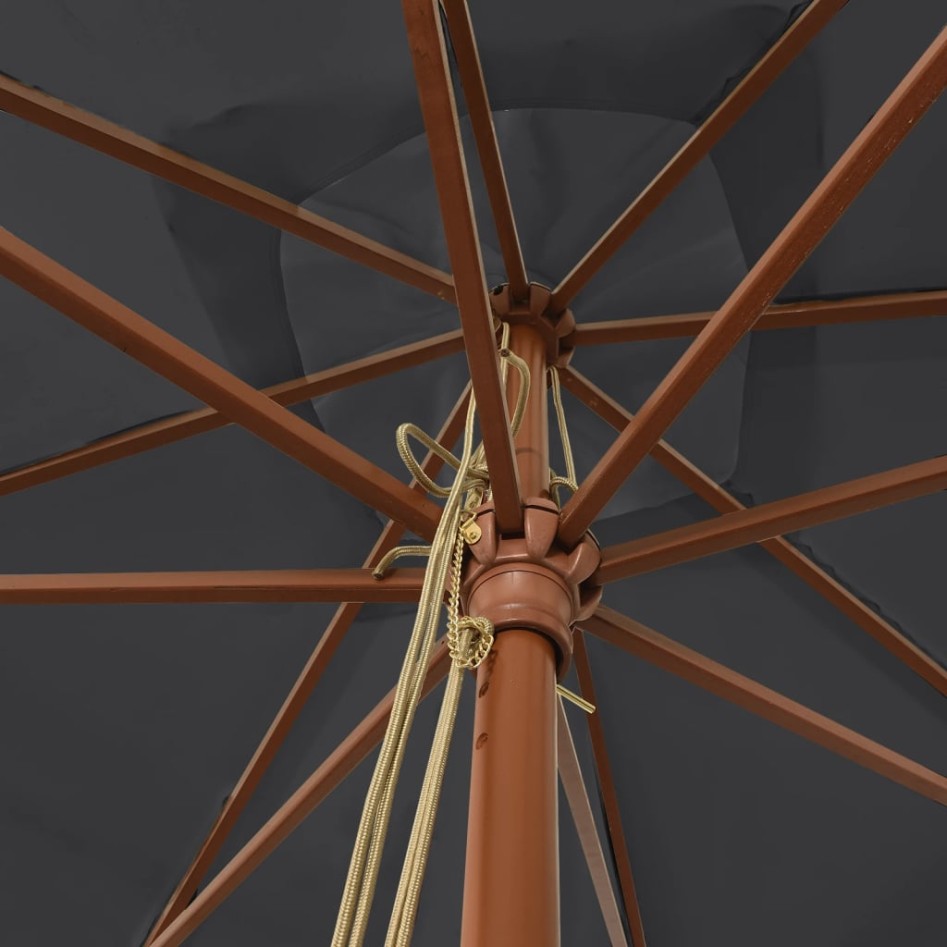 Sombrilla de jardín con poste de madera negro 300x300x273