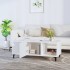 Mesa de centro madera contrachapada blanco 102x50x40