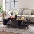 Mesa de centro madera contrachapada gris brillo 103,5x60x35