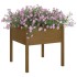 Jardineras 2 uds madera maciza de pino marrón miel 70x70x70