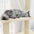 Rascador para gatos con postes de sisal color crema 155