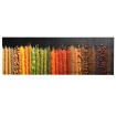 Alfombra de cocina lavable Spice 60x300 cm