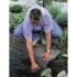 Ubbink Revestimiento piedra para estanques Classic 5x0,4m gris
