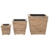 Conjunto de arriates 3 piezas jacinto de