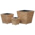 Conjunto de arriates 3 piezas jacinto de
