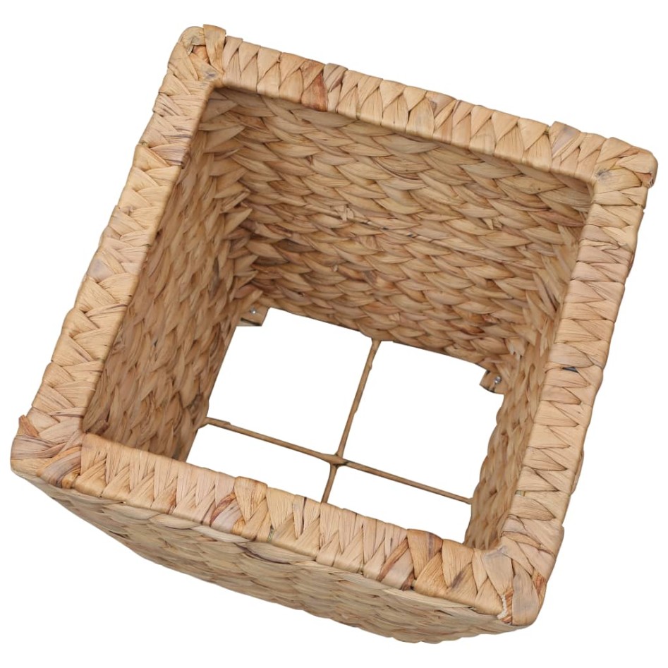 Conjunto de arriates 3 piezas jacinto de