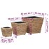 Conjunto de arriates 3 piezas jacinto de