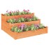Jardinera arriate madera maciza de abeto marrón 120x120x56